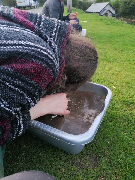 Thumbnail of photo from this article